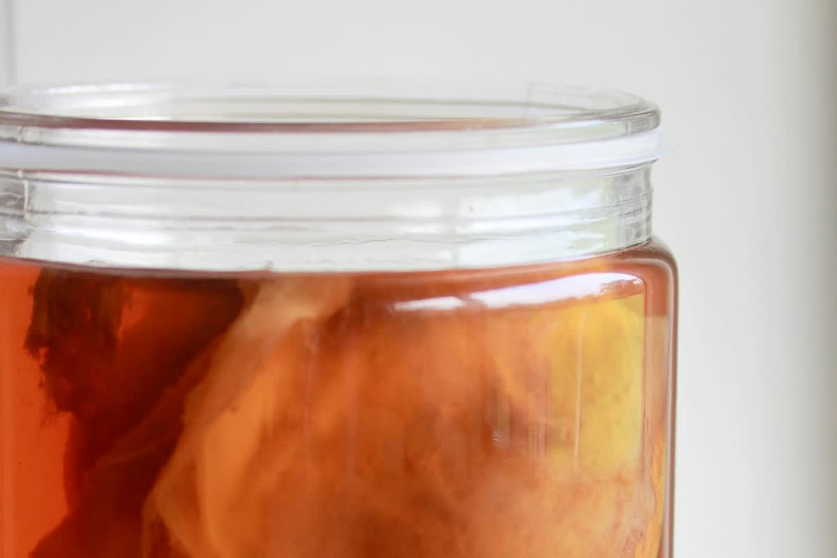 Kombucha jar